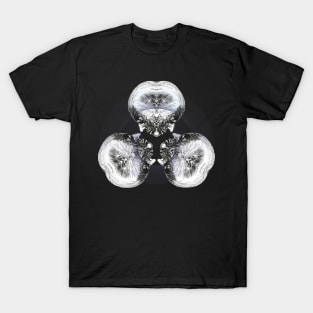 Janus T-Shirt